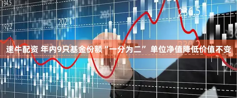 速牛配资 年内9只基金份额“一分为二” 单位净值降低价值不变
