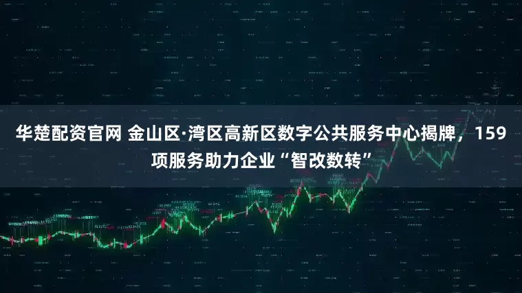 华楚配资官网 金山区·湾区高新区数字公共服务中心揭牌，159项服务助力企业“智改数转”